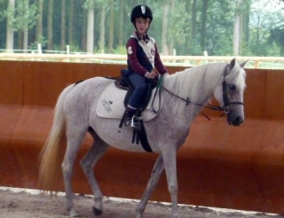 Cours d equitation pres de Valencienne